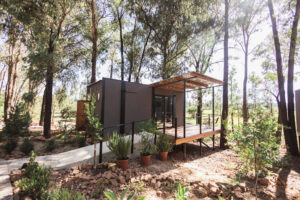 Farmstays_Treehouses_Jan_MF-82